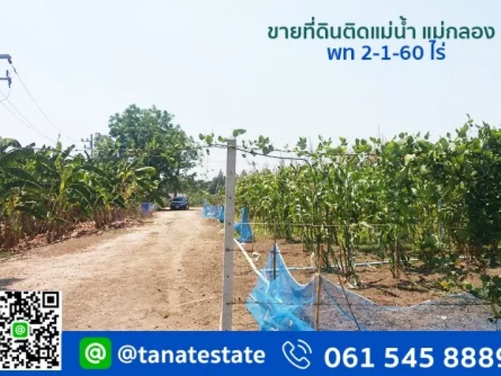 ขายที่ดินติดแม่น้ำ แม่กลอง ราชบุรี ที่ดินสวยเหมาะสร้าง รีสอร์ท