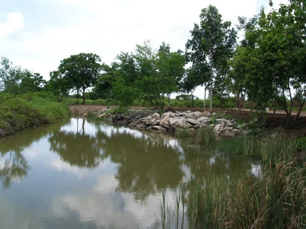 ที่ดินและบ้านพร้อมอยู่อาศัย