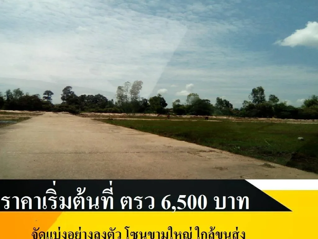 รหัส IAM-NONG474 ขายที่ดินในเมือง อุบลราชธานี จัดแบ่งอย่างลงตัว โซนขามใหญ่ ใกล้ขนส่ง