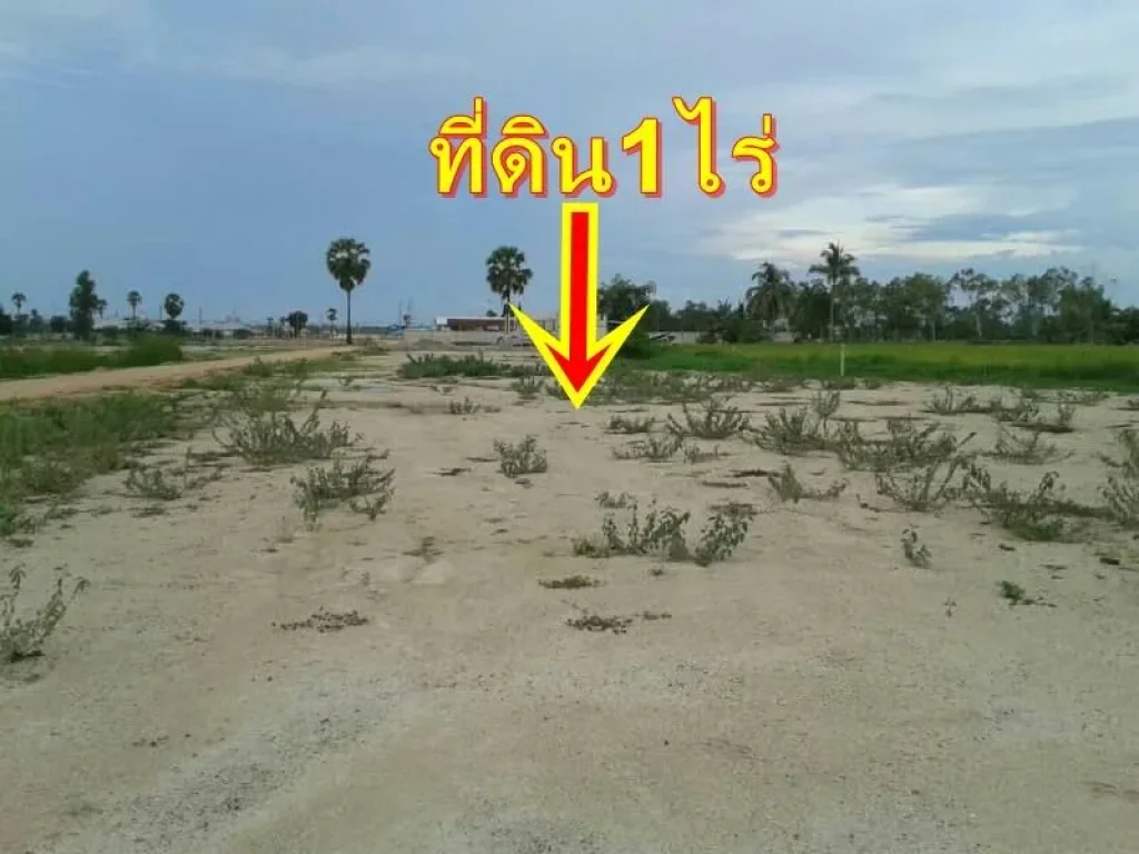 ขายที่ดิน1ไร่ถมแล้วในโครงการหมู่บ้านพฤกปรีชาชะอำ1เพชรบุรี ใกล้ถนนบายพาสชะอำหัวหิน650เมตร ใกล้ตลาดสดชะอำ25กมขาย27ล้านบ