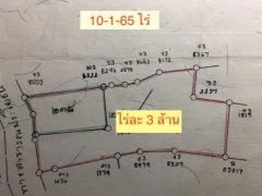 ขายที่ดินใกล้บายพาส 204 เนื้อที่ 10 ไร่ ๆละ 25 ล้าน