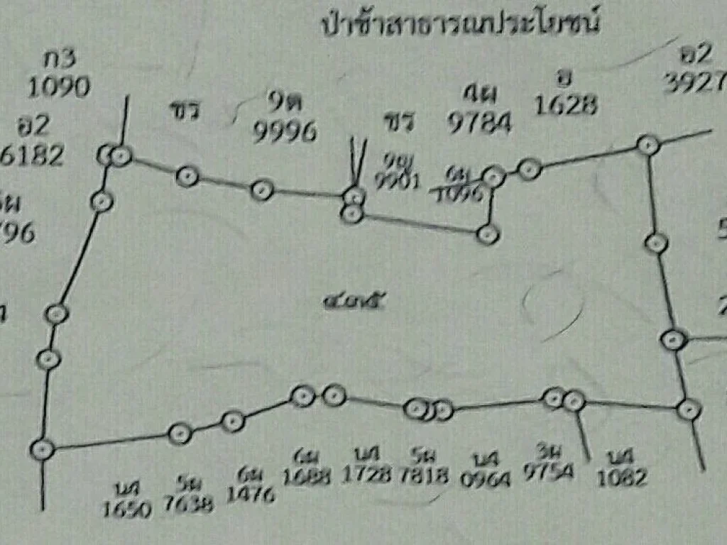 ที่นา 12 ไร่ 2 งาน 88 ตรว