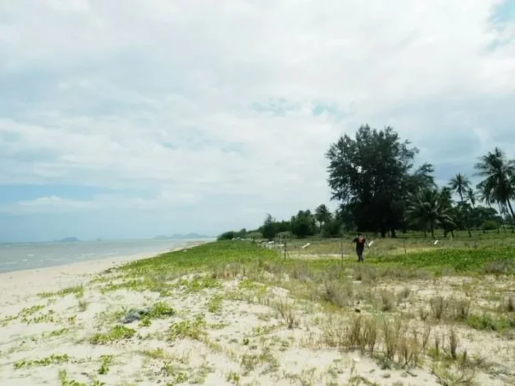 ขายที่ดินทำเลดีมาก ติดริมหาดทะเล ติดถนน ตำบลกุยเหนือ อำเภอกุยบุรี ประจวบคีรีขันธ์ พื้นที่กว่า 10 ไร่ เหมาะสร้างรีสอร์ท