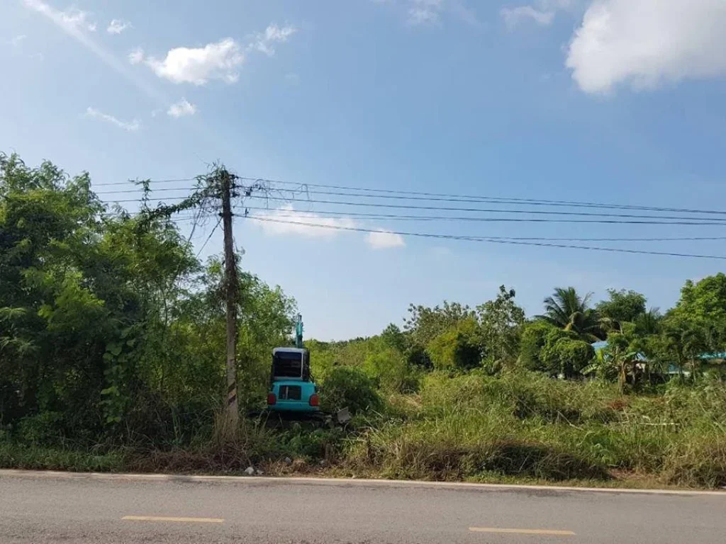 ขายที่ดิน 21-3-70 ไร่ ติดถนนใหญ่ ตมะขามเตี้ย อเมือง จสุราษฎร์ธานี