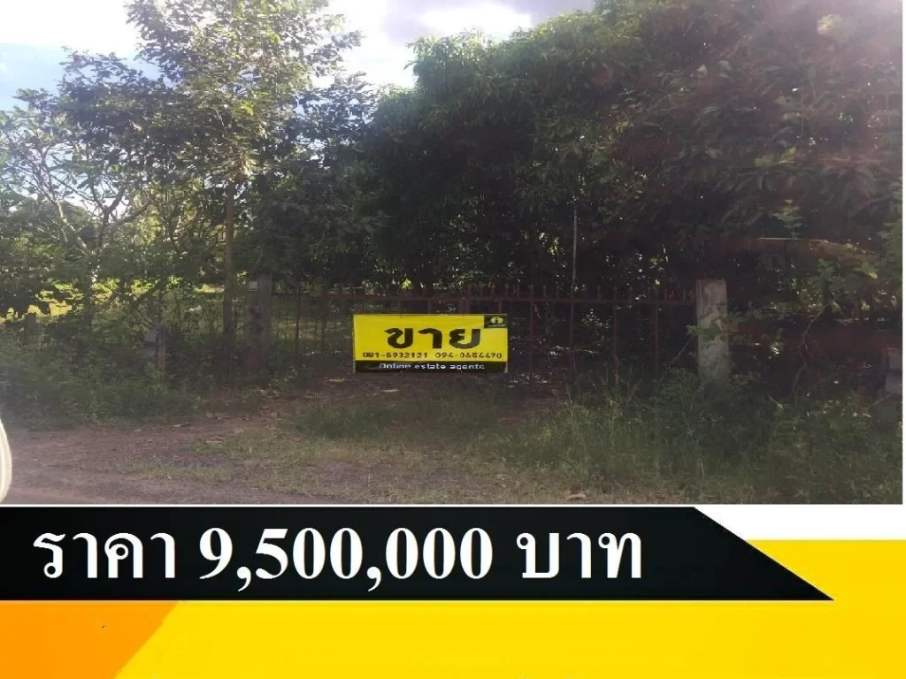 รหัส I AM-BO489 ที่ดินเปล่าใกล้ทุ่งบูรพา เนื้อที่ 10 ไร่