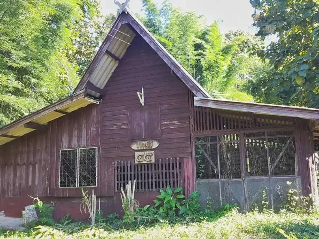 ขายที่ดินพร้อมบ้าน ไฟน้ำพร้อม บรรยกาศดี ใกล้แหล่งชุมชน ที่ตั้ง ตสบเปิง อแม่แตง จเชียงใหม่ เนื้อที่ 200 ตารางวา เอกสา