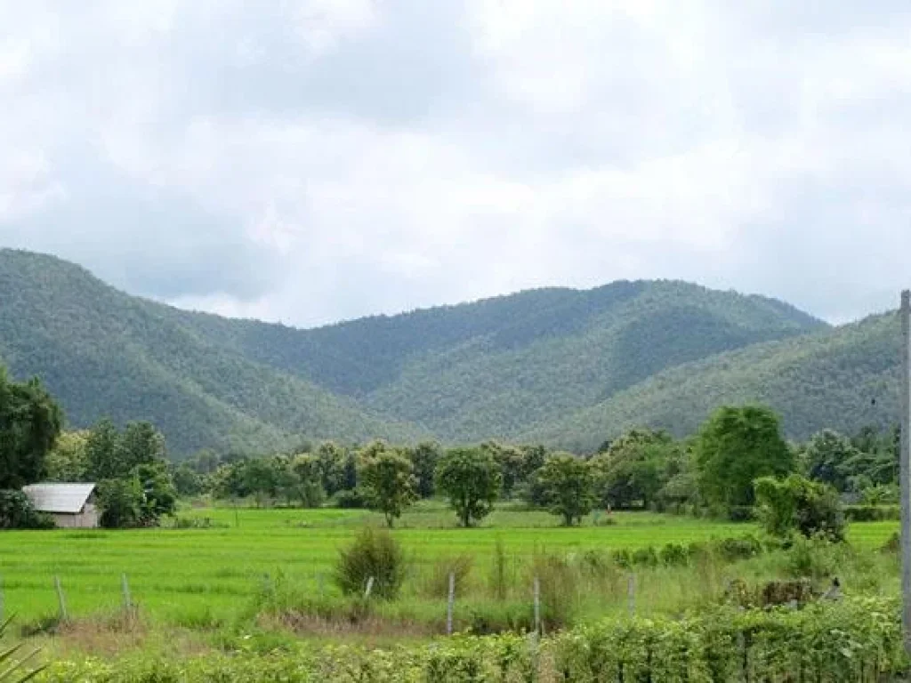 ที่ถมแล้ว วิวภูเขา ดอยสะเก็ด เชียงใหม่