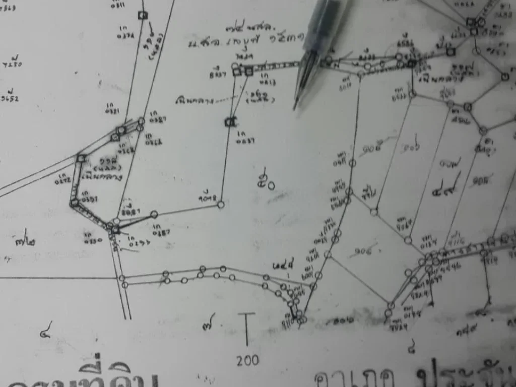 ขายที่ดิน 14 ไร่ ประจันตคาม ปราจีนบุรี