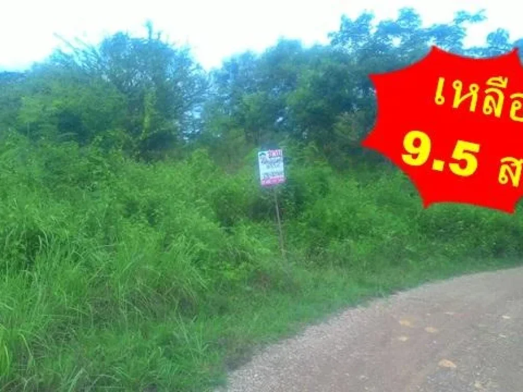 ที่ดินเปล่า 1655 ตรว ถนนบายพาส - แอร์พอร์ท จแพร่