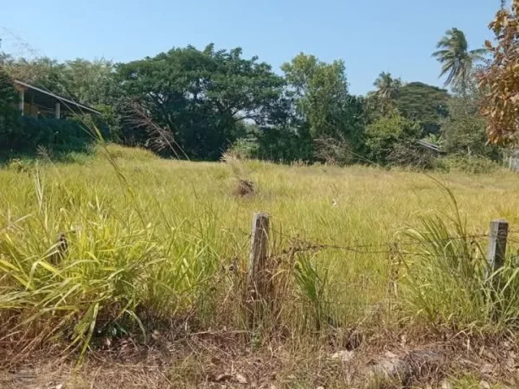 ที่ดินอยู่อาศัย แปลงสวย กลางชุมชน อชำนิ บุรีรัมย์