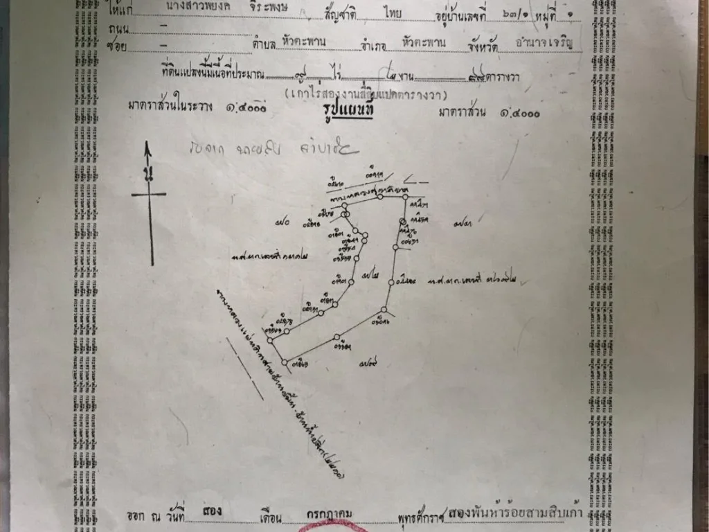 ที่ดิน 9 ไร่