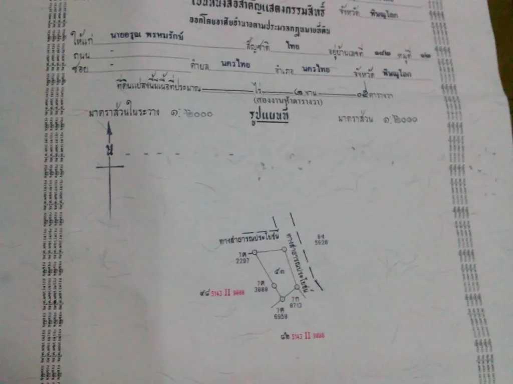 ขายที่ดินถมแล้วทำเลดี พิษณุโลก 205 ตรว 800000 บ