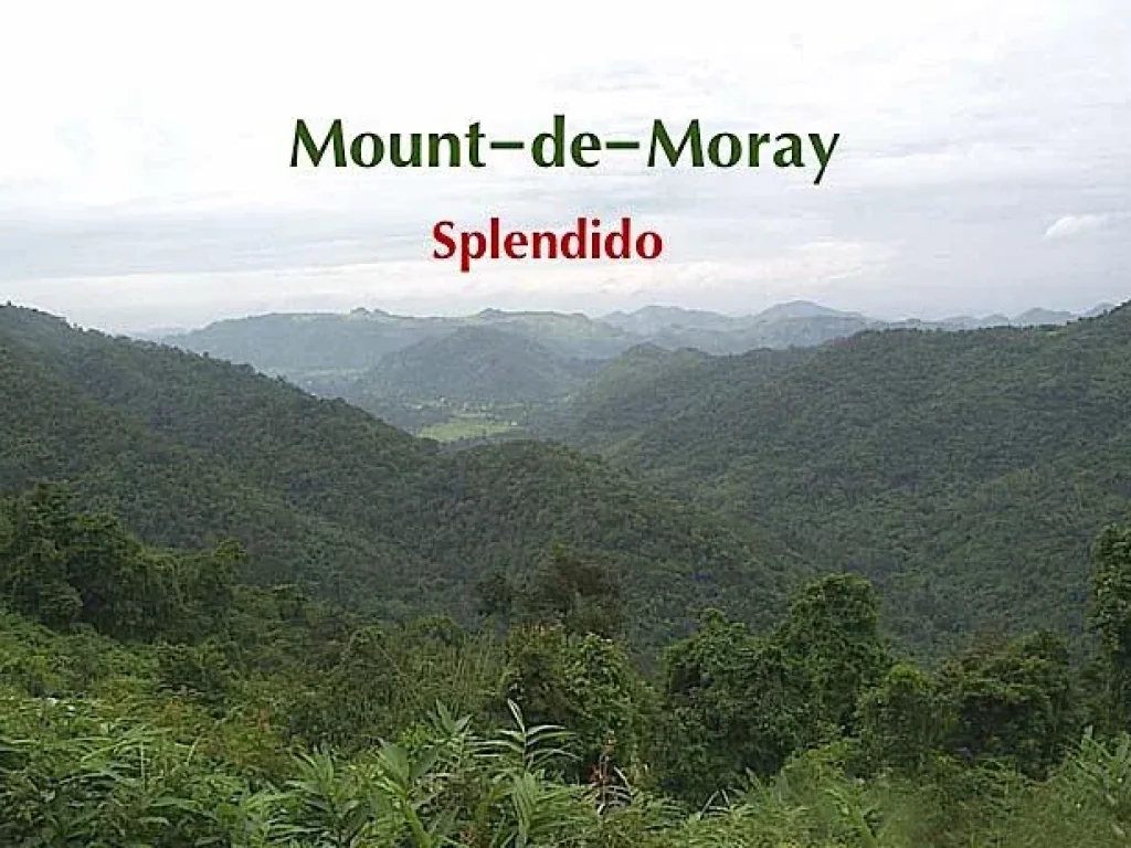 Mount-de-Moray แบ่งขายที่ดินสวยพัฒนาพร้อมแล้วบนเนินเขาสูงกว่า 450 เมตร ระดับน้ำทะเล เพียง 4 แปลงเท่านั้น