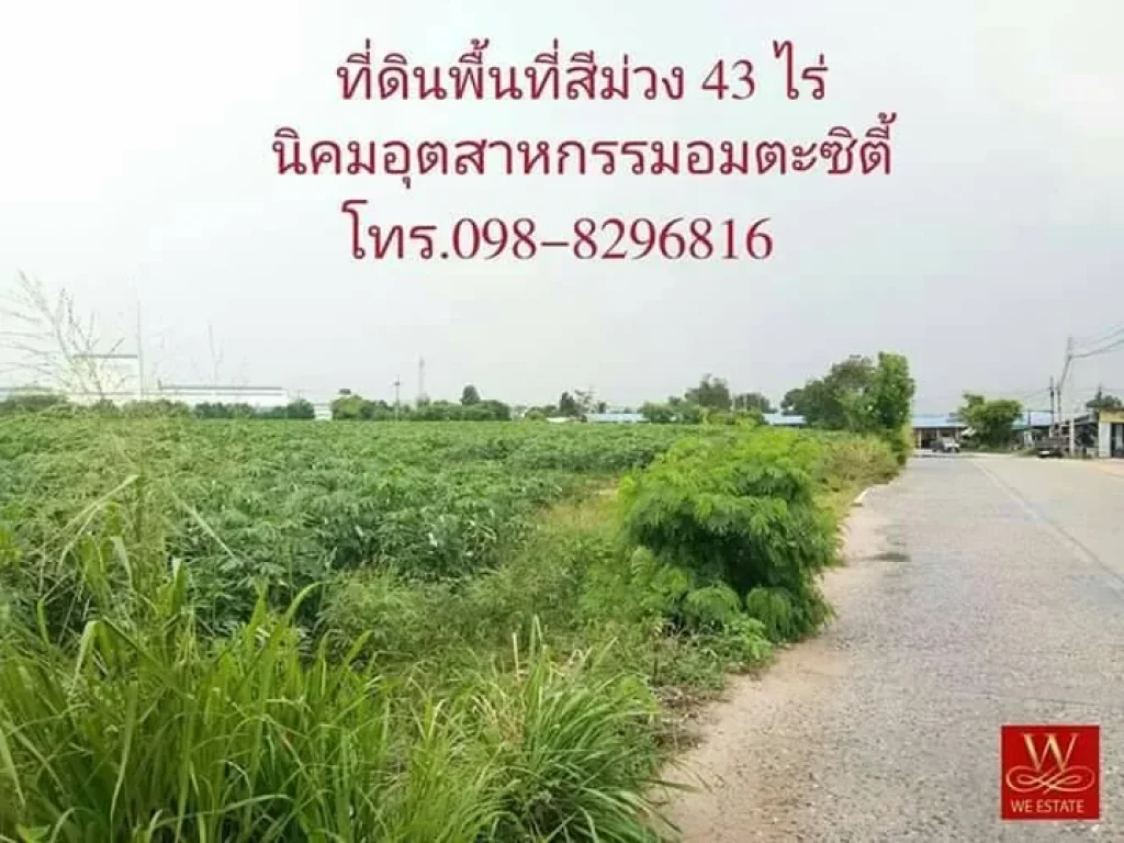 ขายที่ดินพื้นที่สีม่วง 43 ไร่ ในนิคมอุตสาหกรรมอมตะซิตี้ มาบยางพร ปลวกแดง ระยอง