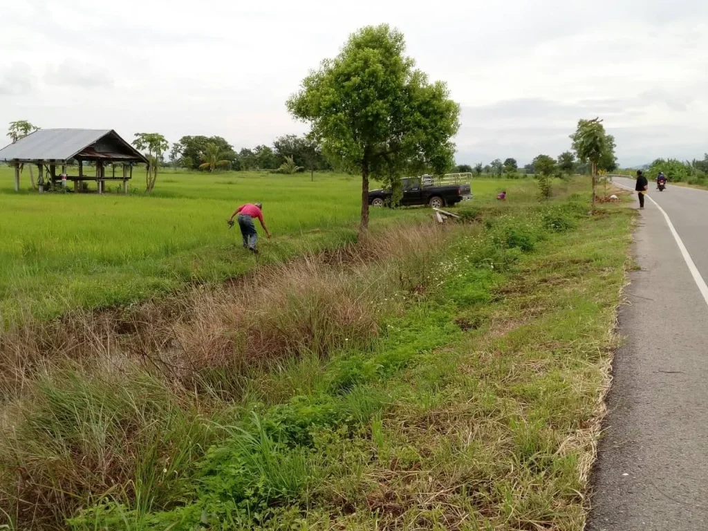 ขายที่ด่วน อยู่ตท่าสุด บ้านถ้ำภาตอง ติดถนนสายหลัก