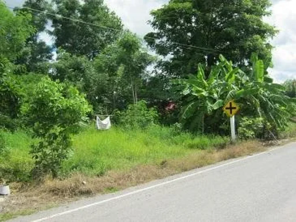 ขายที่ดิน นส3ก 1ไร่เศษ แยกไฟแดงศูนย์อีซูซุลำนารายณ์ ตรงข้ามบ้านใหม่สามัคคี ตนิคมลำนารายณ์ อชัยบาดาล ลพบุรี