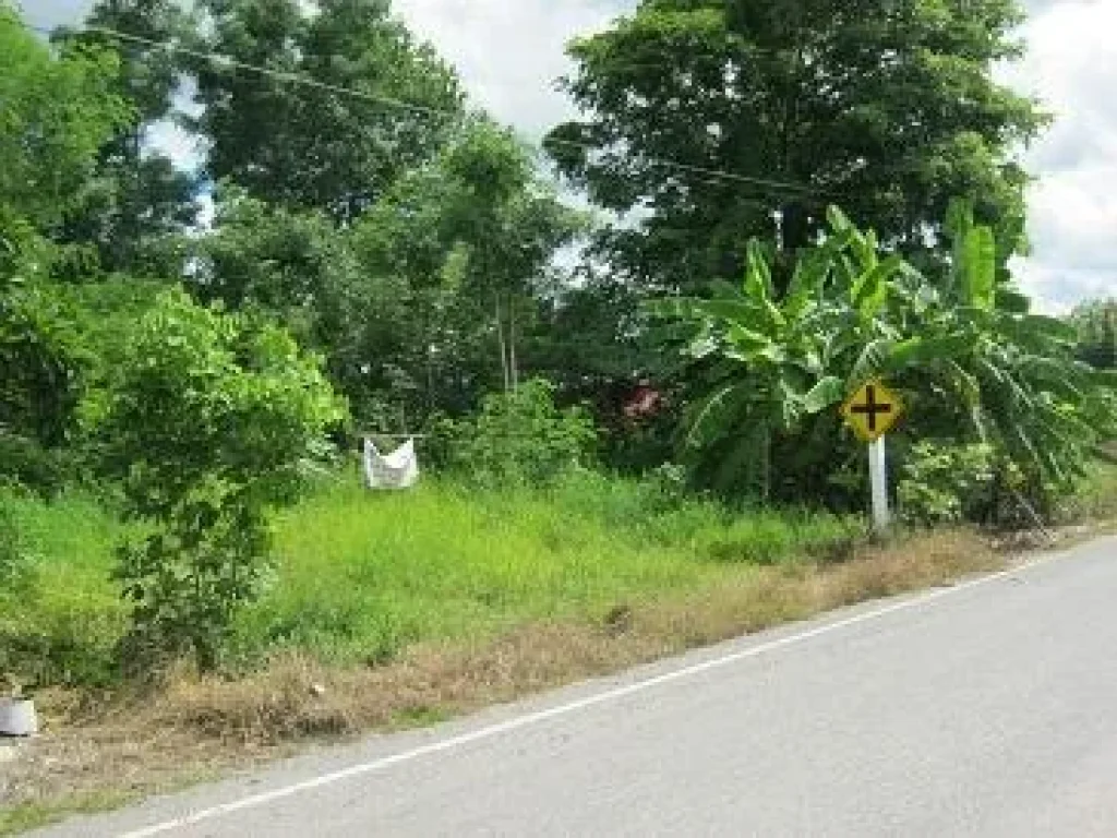 ขายที่ดินนส3ก 1ไร่เศษ สี่แยกไฟแดงศูนย์อีซูซูลำนารายณ์ กม130ถนนสระบุรี