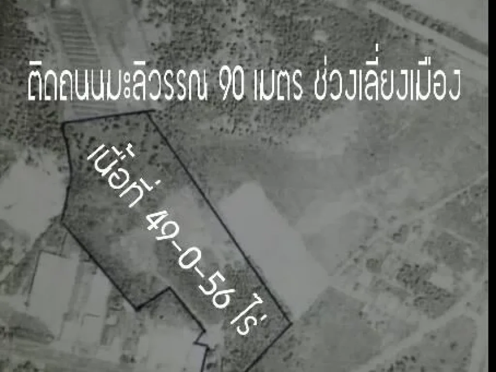 ที่ดินทำเลทอง ติดถนนมะลิวรรณ 49 ไร่