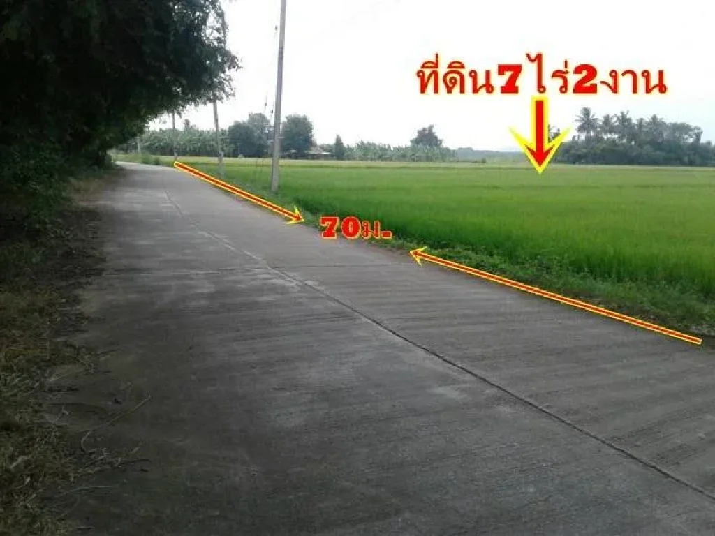 ขายที่ดิน7ไร่2งาน ในหมู่บ้านดอนแร่ ติดถนนราดยาง ไฟฟ้า ประปาพร้อม เหมาะทำการเกษตรพอเพียงอยู่อาศัยหลังเกษียณขายไร่ละ4แสน