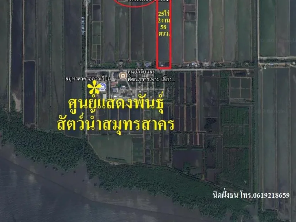 ขายที่ดินถูกๆ เนื้อที่25ไร่2งาน58ตรวใกล้ศูนย์แสดงพันธุ์สัตว์น้ำสมุทรสาคร ใกล้ศูนย์ศึกษาพิเศษสมุทรสาคร ตโคกขาม อเมืองส