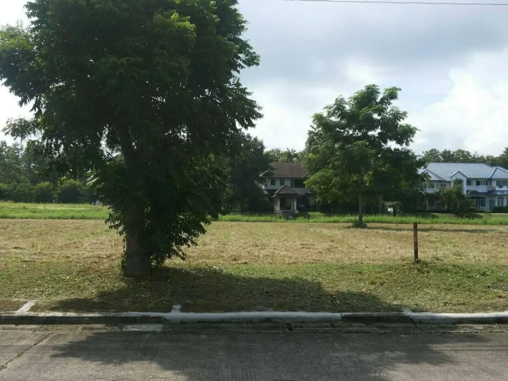 Land for sale Green Valley Plot D 48 ขายที่ดิน 398 ตารางวา ถมแล้ว แปลงสวย ทำเลดี บรรยากาศเยี่ยม