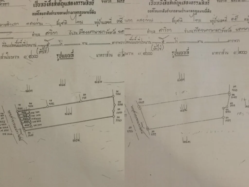 ที่ดินสวย ติดถนน ตำบลสาริกา ราคาไร่ละ 1400000 ราคาไม่แพง อากาศดี ใกล้สถานที่ท่องเที่ยวและร้านอาหารดังของจังหวัดนครนายก ใกล้เมือง ใกล้โรงเกลือ