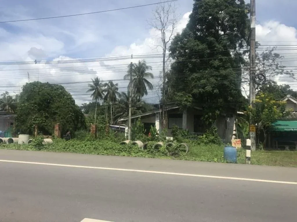 ขายที่ดินกระบี่หน้าติดถนนเพชรเกษม คลองหิน-อ่าวลึก เนื้อที่ 13 ไร่ ขาย 4 ล้าน