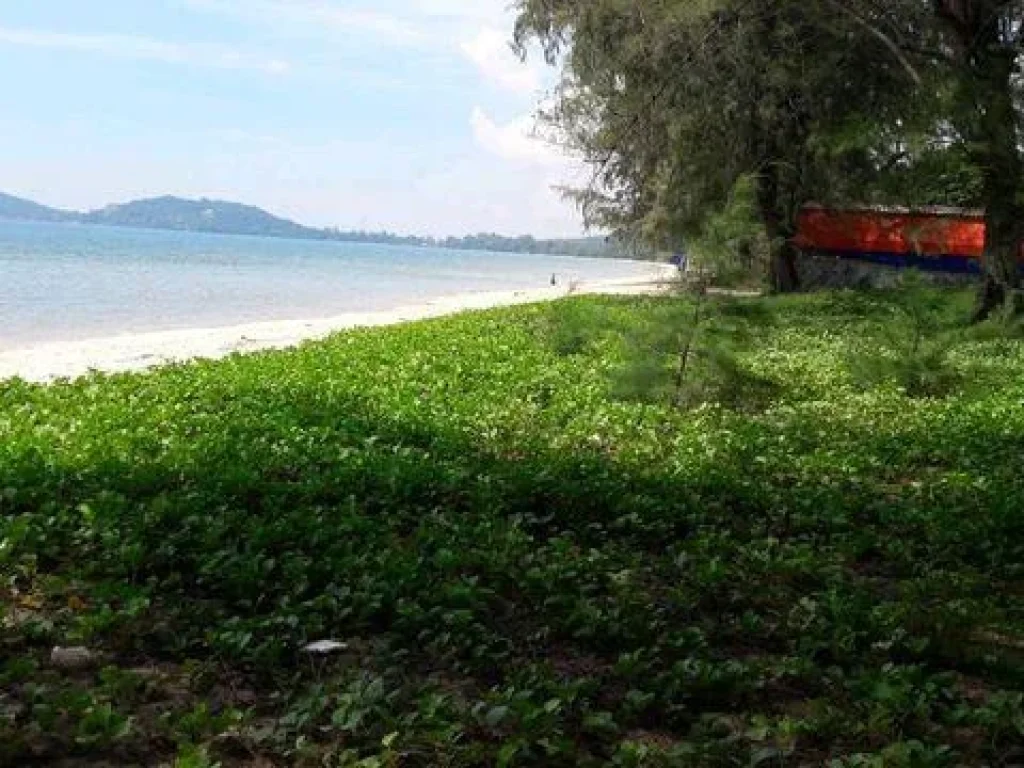 ขายที่ดินติดหาดส่วนตัว จำนวน 6ไร่ ทะเลหาดแม่พิมพ์