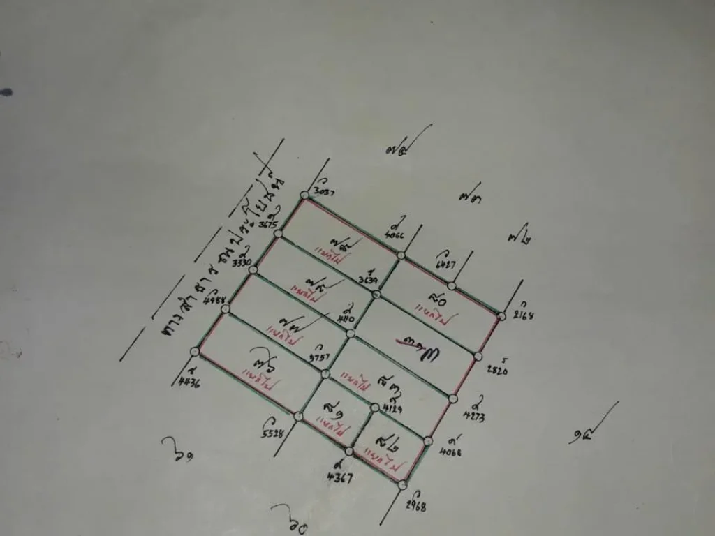 ขายที่ดิน1ไร่ ติดอ่างดอกกราย นิคมพัฒนา