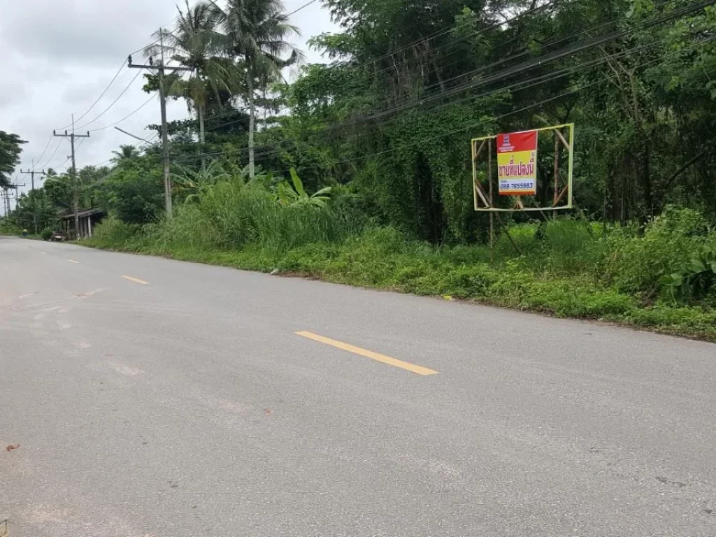 ขายที่ดินเปล่า ตำบลมะลวน อำเภอพุนพิน จังหวัดสุราษฎร์ธานี