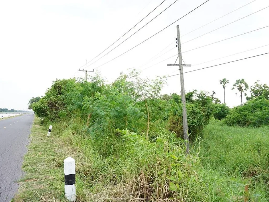 ขายที่ดิน ติดถนนริมคลองประปา อำเภอเมืองปทุมธานี 17 ไร่