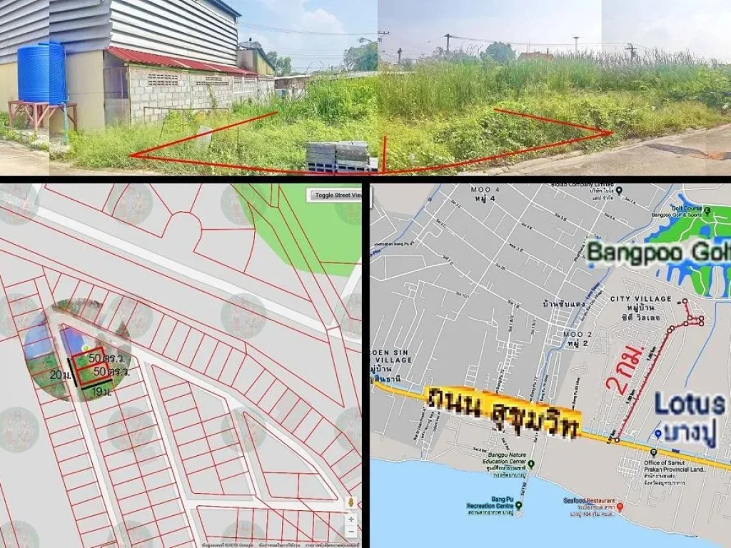 ขายที่ดิน 100 ตรว ตบางปูใหม่ อเมือง จสมุทรปราการ