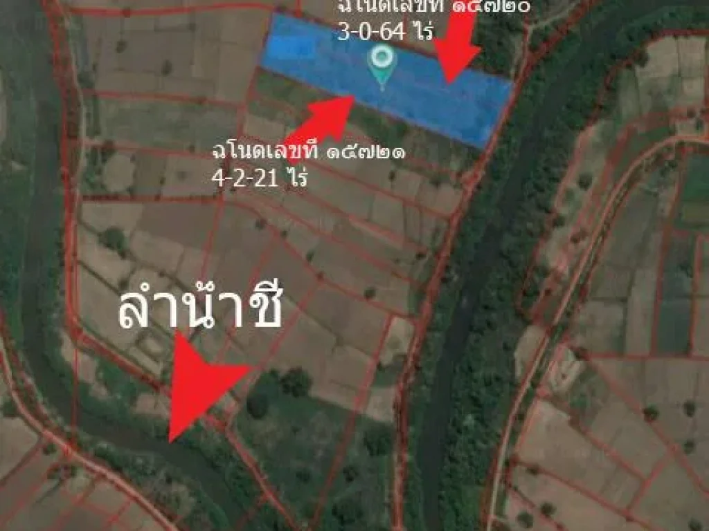 ขายที่นาติดริมชีล้อมรอบ 3 แปลง 15 ไร่ 3 ไร่ 4 ไร่