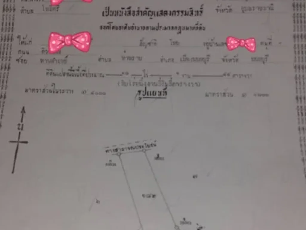 ขายที่ดิน10ไร่ มีโฉนด