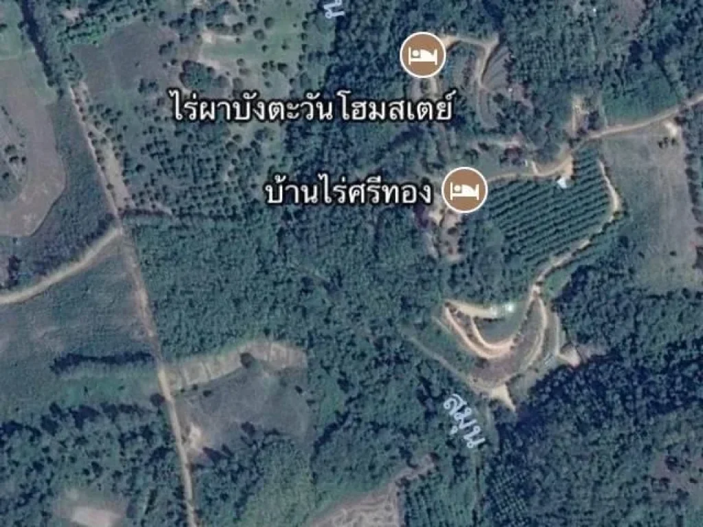 4-3-13ตรวโฉนดที่เนินติดถนนสองด้านหลังเขาน้อย