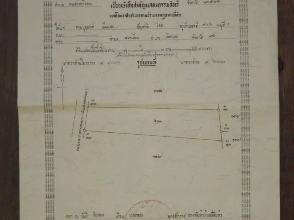 ขายที่ดินราคาถูกติดถนนลาดยาง 7 ไร่ 3 งาน 55 ตรว