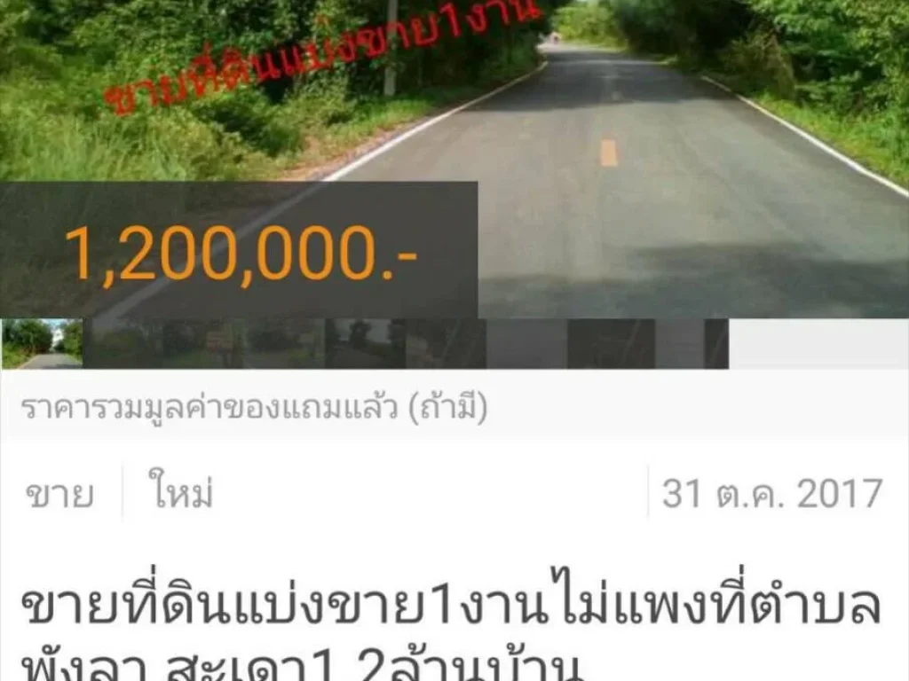 ขายที่ดินแบ่งขาย1งานไม่แพงที่ตำบลพังลา สะเดา12ล้านบ้าน