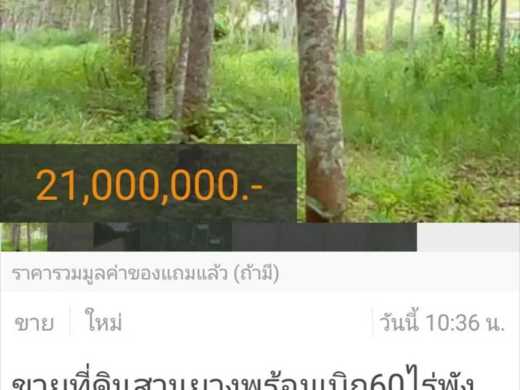 ขายที่ดินสวนยางพร้อมเบิก60ไร่พังลาไร่ละ350000บาท