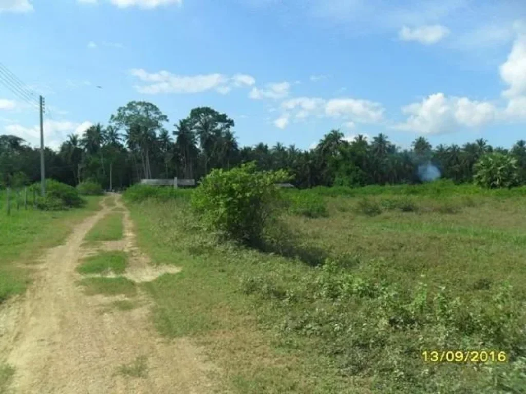 ที่ดินโฉนดมือแรก เจ้าของเอง ใกล้สถานีรถไฟบ้านกรูด