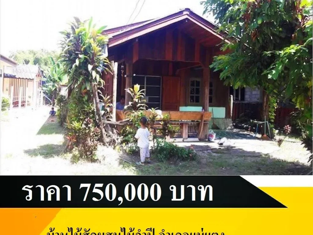 รหัส IAM-CMBO160 บ้านไม้สักผสมไม้จำปี อำเภอแม่แตง ชั้นเดียว