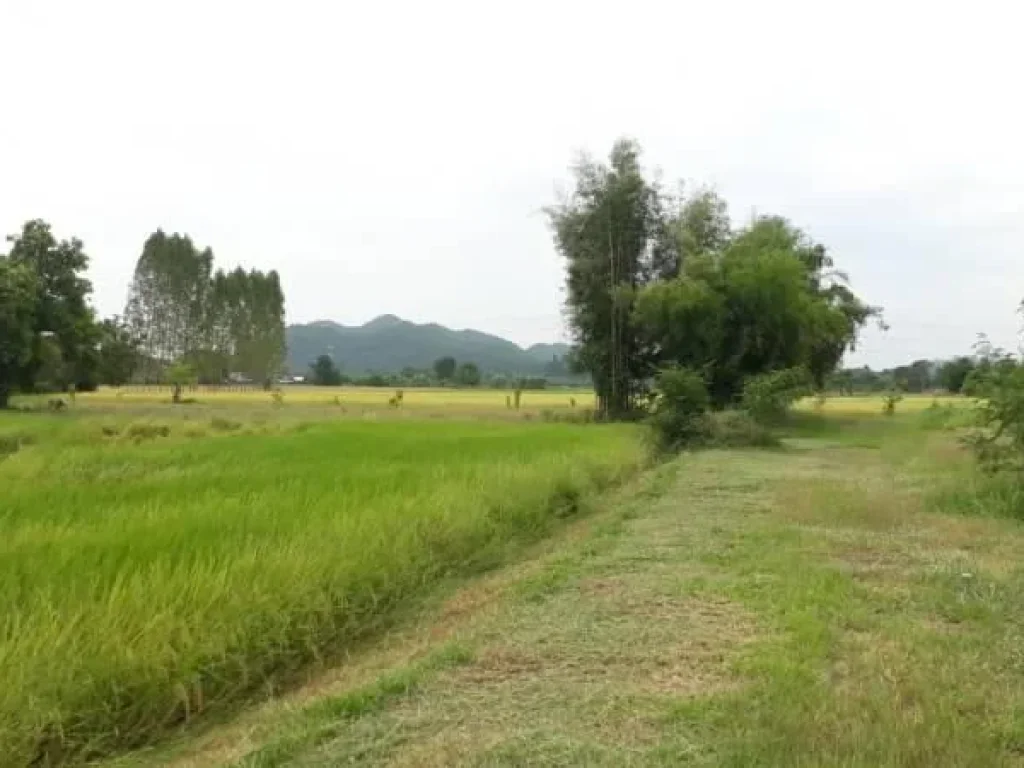 วิวธรรมชาติใกล้ตัวเมืองราชบุรี