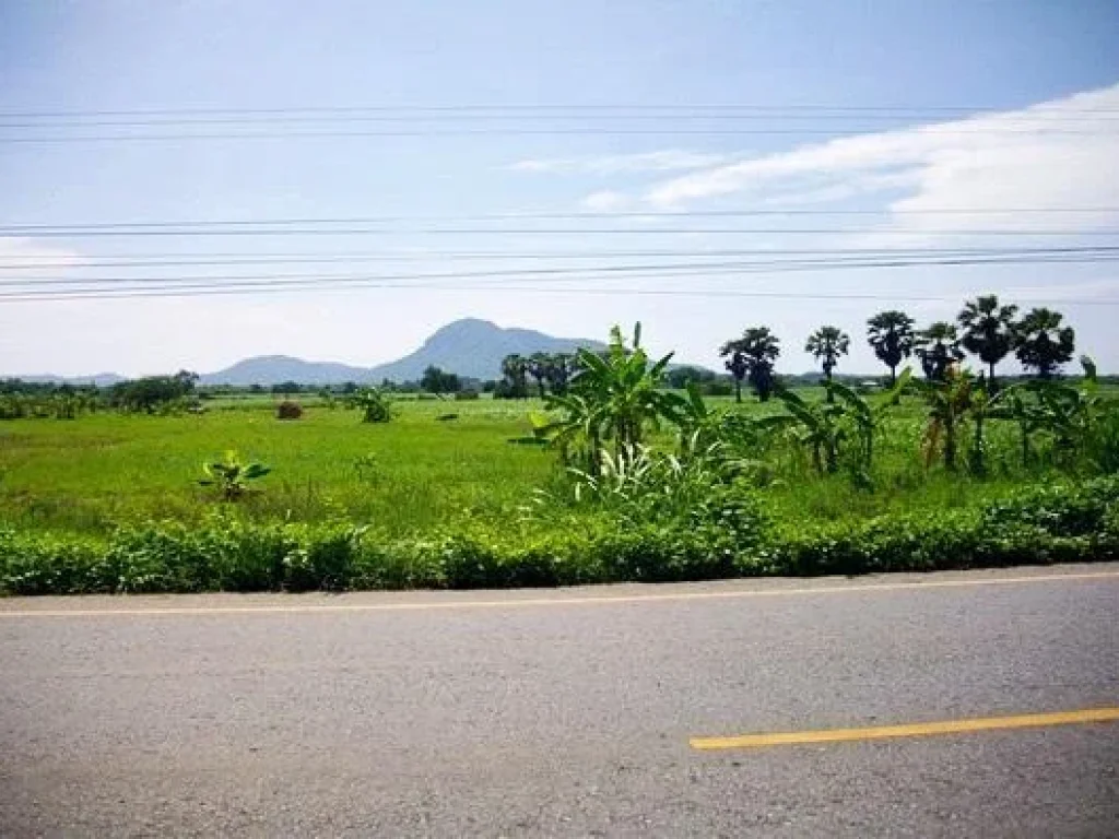 ที่ดิน35ไร่โฉนดติดทางหลวงหน้ากว้าง150เมตรมีเพื่อนบ้านไฟฟ้าประปาพร้อม