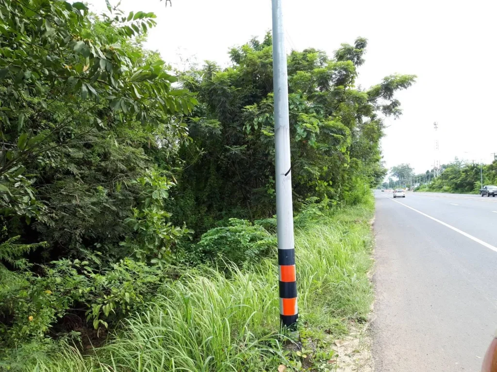 ขายที่ดิน 6 ไร่ ติดถนนอุบล-ตระการ