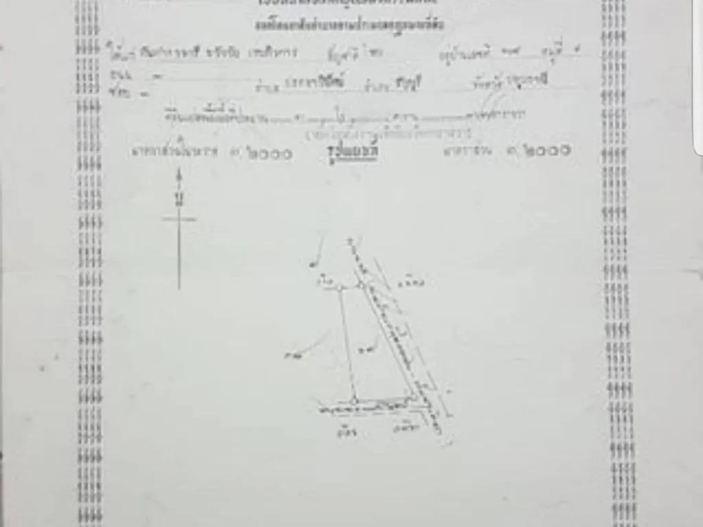 ขายที่ดิน เนื้อที่ 1 ไร่ 1 งาน 77 ตารางวา อำเภอ เหนือคลอง จังหวัด กระบี่