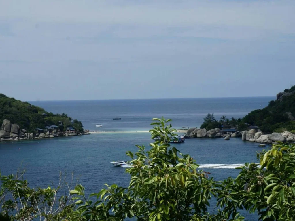 ขายที่ดินบนเกาะเต่า 17 ไร่ Land for sale in koh tao