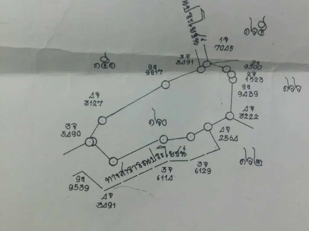 ขายสวนลำใย 5 ไร่ 2 งาน 38 ตารางวา