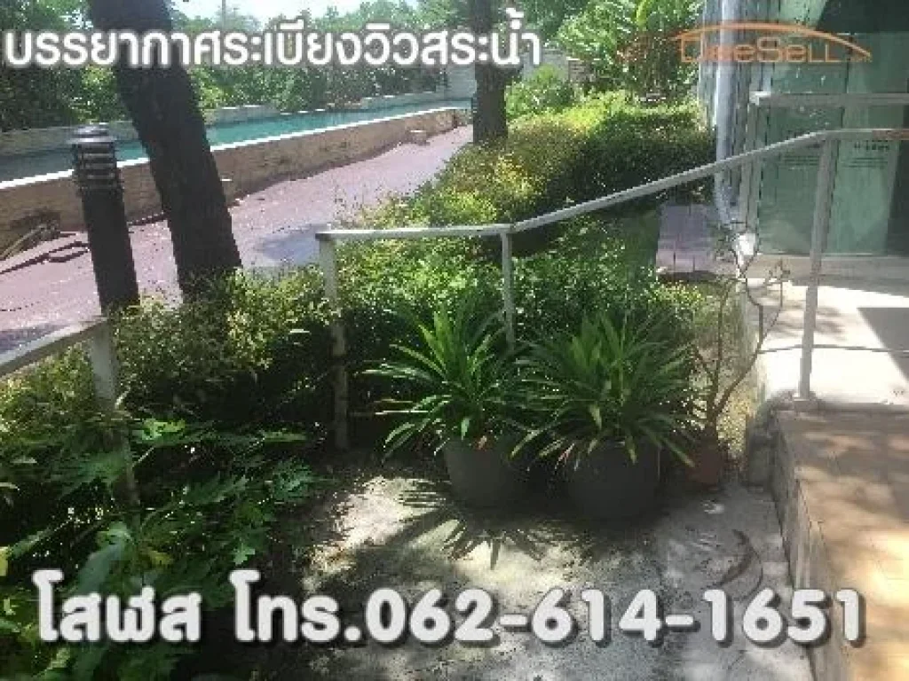 ขายห้องชั้น1วิวสระว่ายน้ำ ตึกG 4169ตรม 1น้ำ มีสวนส่วนตัว ถูกที่สุดในโครงการ ดิ ไอริส พระราม9-ศรีนครินทร์ The Iris Rama9-Srinakarin ใกล้AirportLink