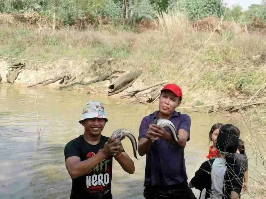 ขายด่วนที่นา 15 ไร่ ติดถนนบ้านดู่ลาด-โนนสนาม ห่างจาก อทรายมูล 3 กม