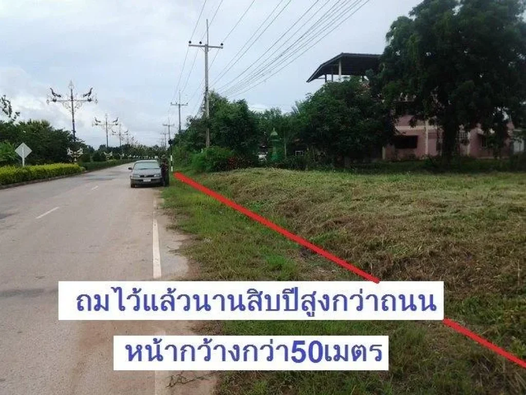 ขออนุญาตขายด่วนที่ดินสวยจังหวัดพิษณุโลกติดถนนสี่เลนส์เข้าบึงราชนก 1ไร่ 14ตรว หน้ากว้าง1ช่วงเสาไฟฟ้าประมาณ50เมตร ที่ถม