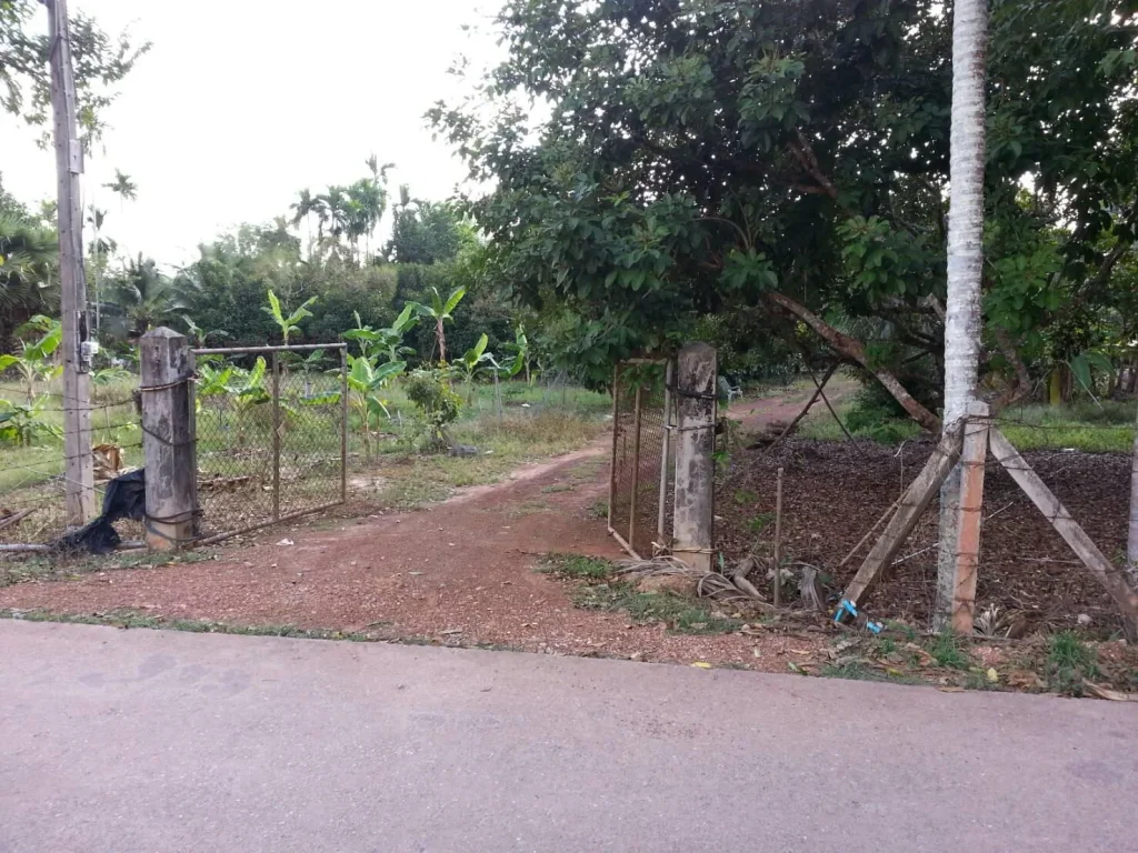 บ้านสวนผลไม้ เจ้าของขายเองห่างจากถนนสุขุมวิท 150 เมตรหน้าสวนติดซอยคอนกรีต